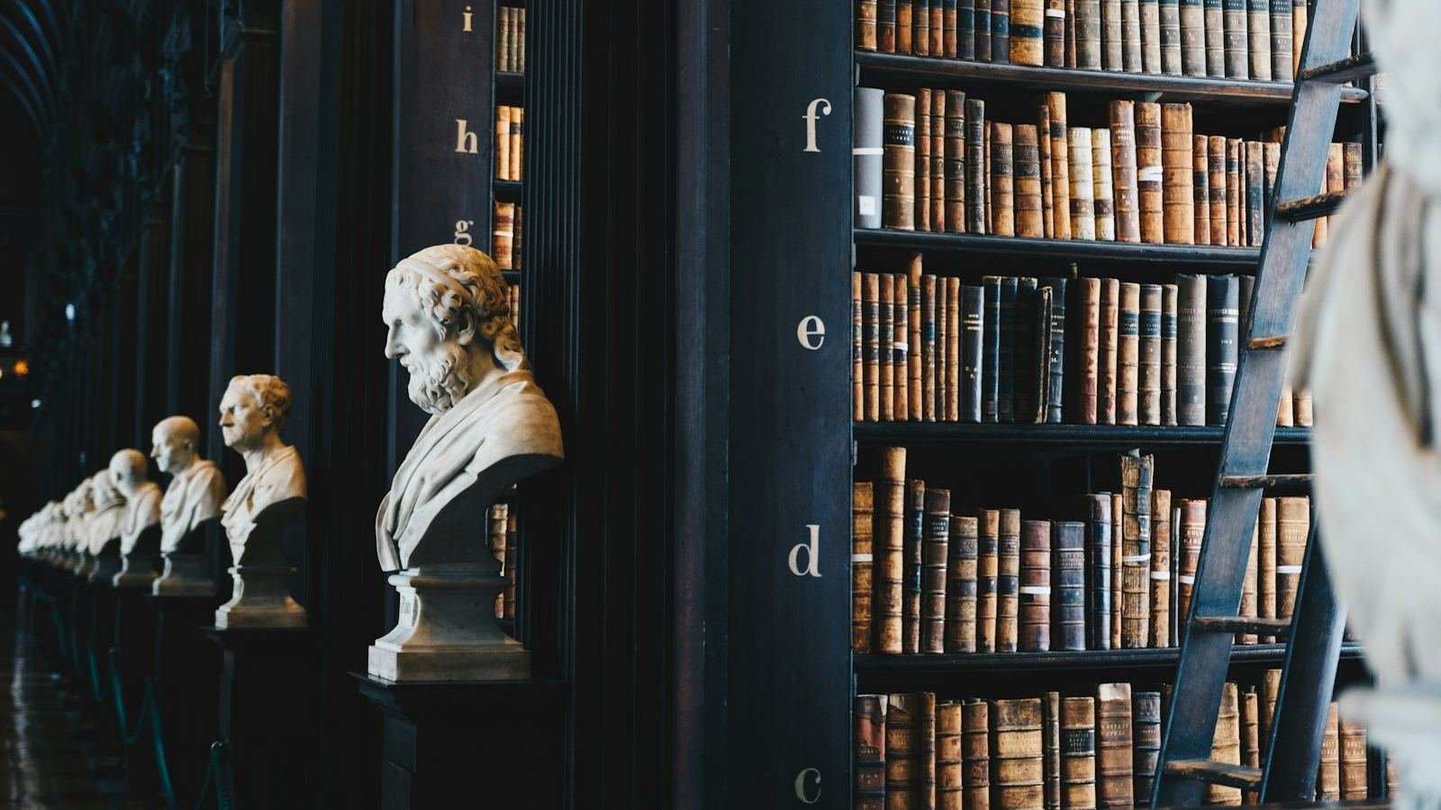 Law library with rows of leather-bound volumes